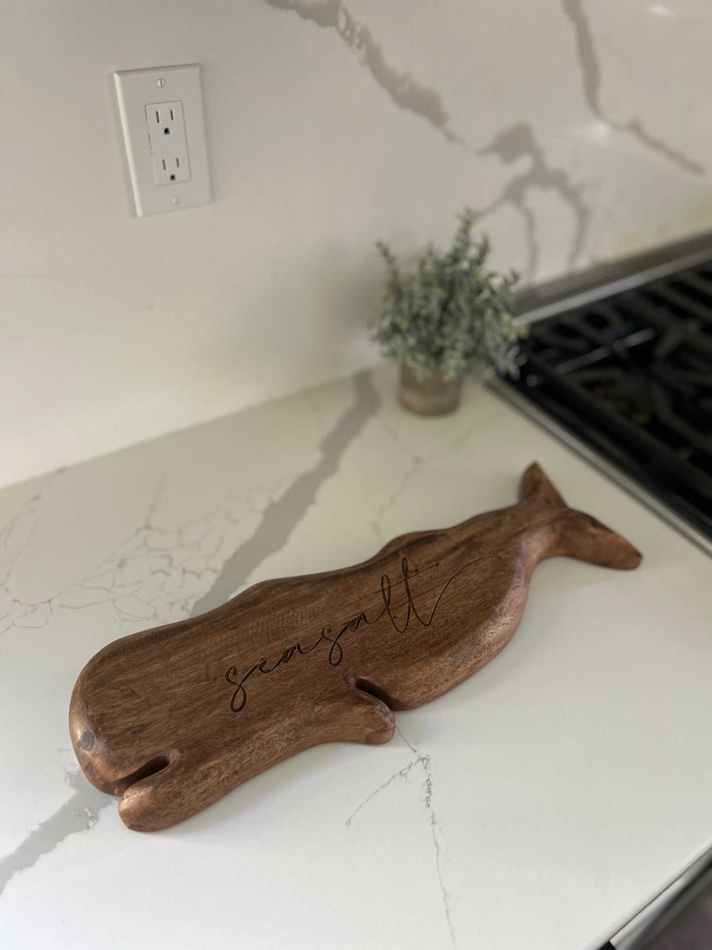 Whale Dish