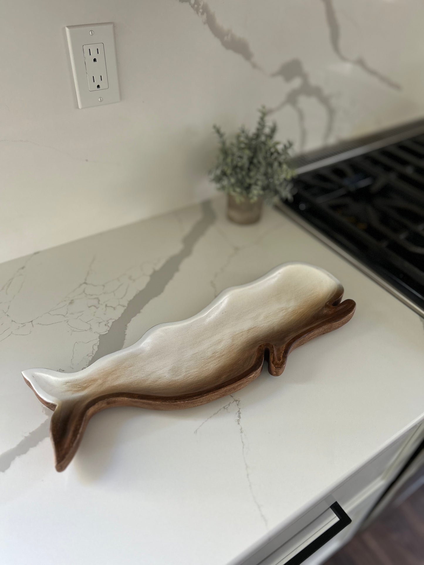 Whale Dish